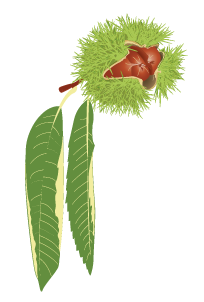 KB's All Natural American Chestnuts Logo